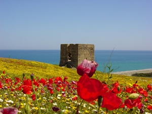 Calabria Mare :: Foto 46 Torre Madonna di Mare