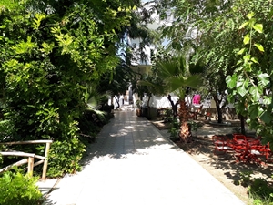 Calabria Mare :: Foto 5 Viale d'ingresso nel giardino