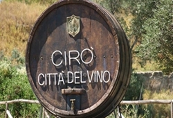 vino cirò marina